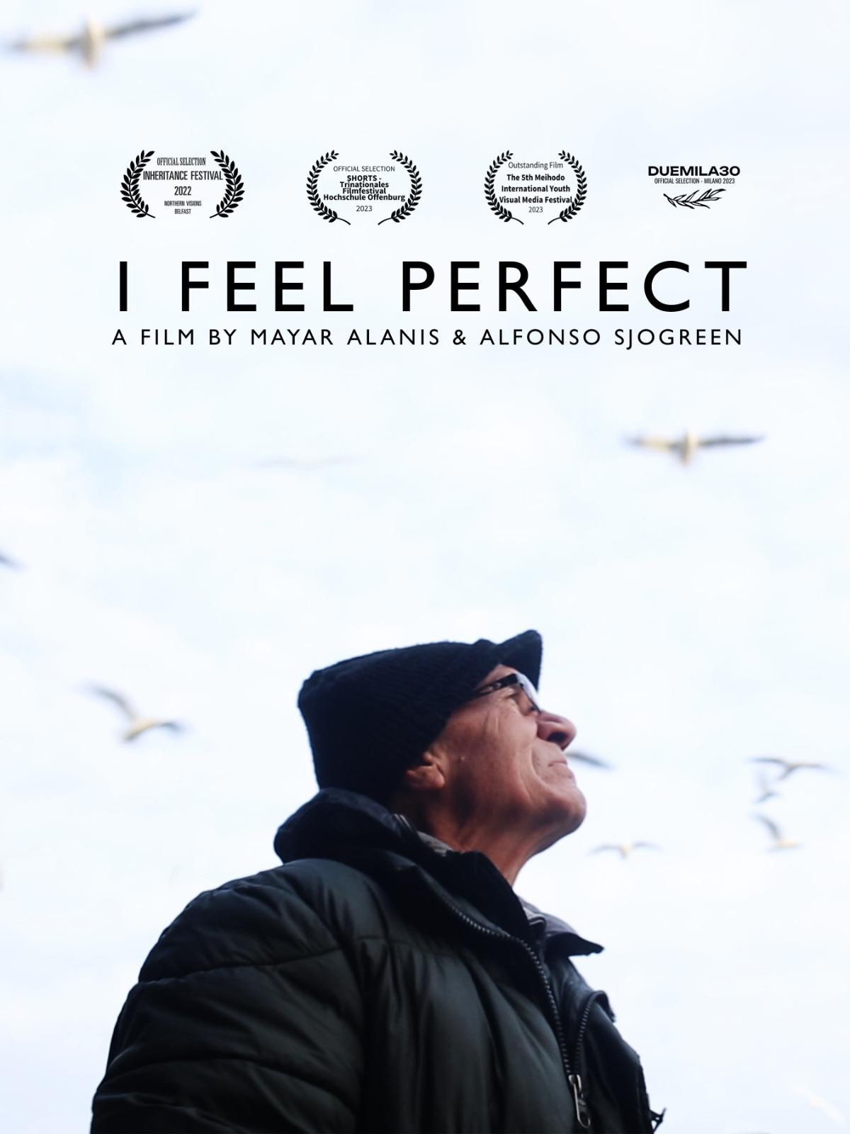 I Feel Perfect film poster